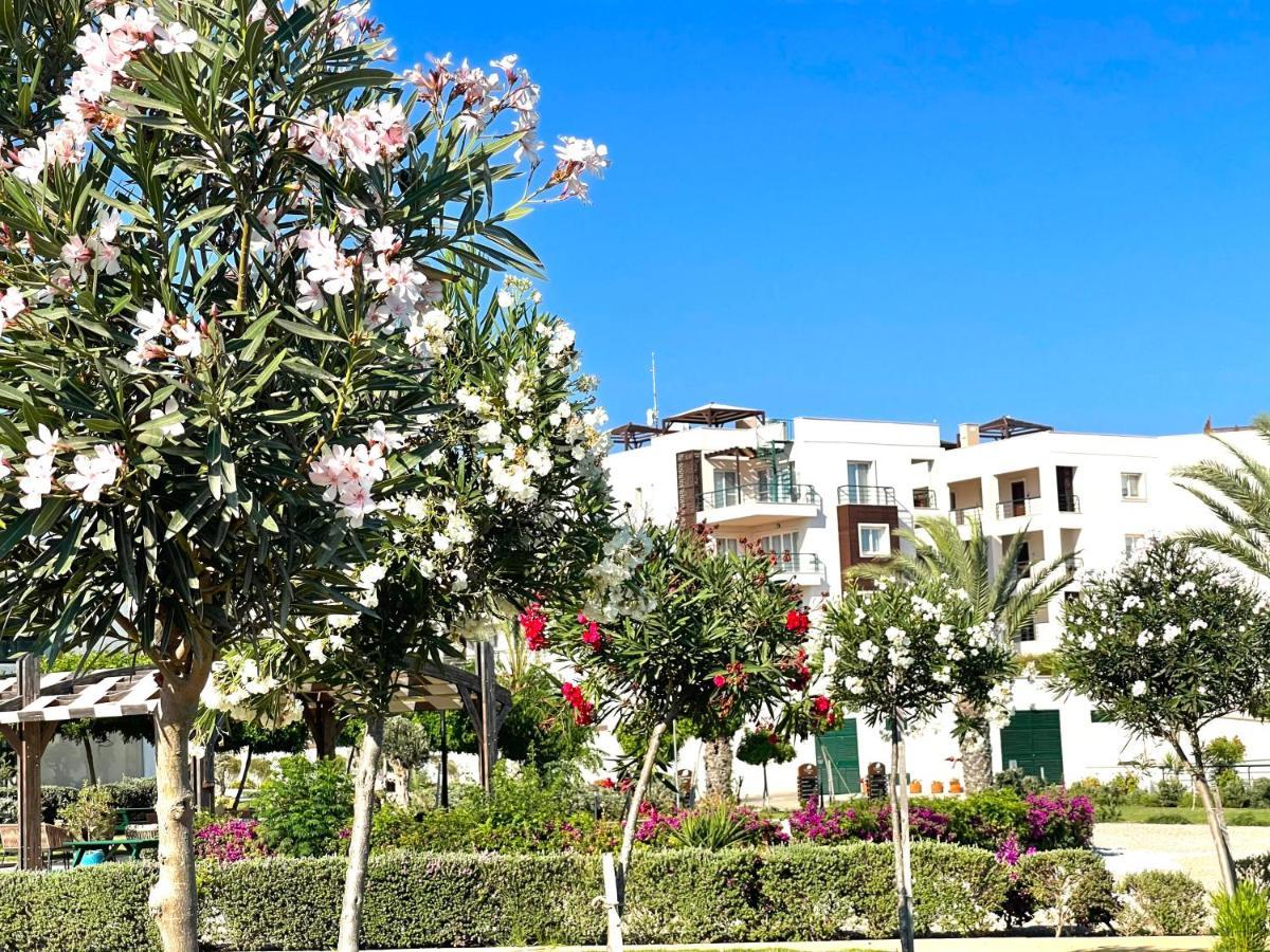 Relaxing Penthouse Suites By The Sea Vokolidha Dış mekan fotoğraf