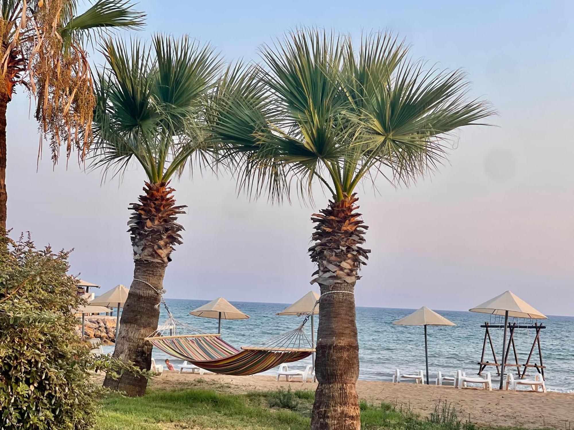 Relaxing Penthouse Suites By The Sea Vokolidha Dış mekan fotoğraf